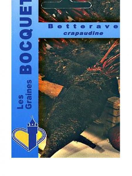 Betteravec rouge 'Crapaudine'