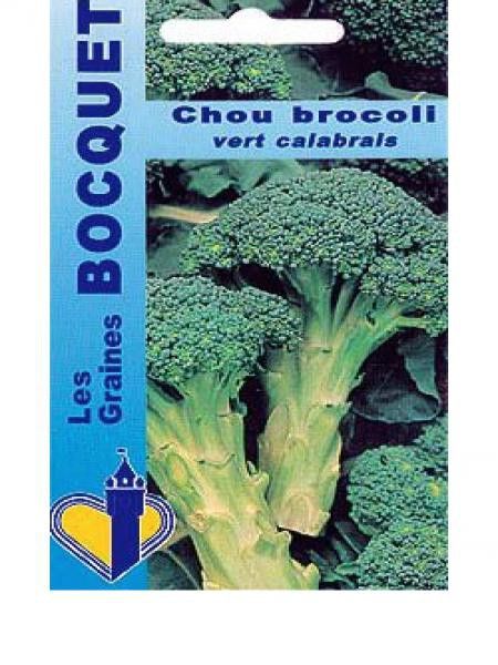 Brocoli 'Calabrais à jets verts'