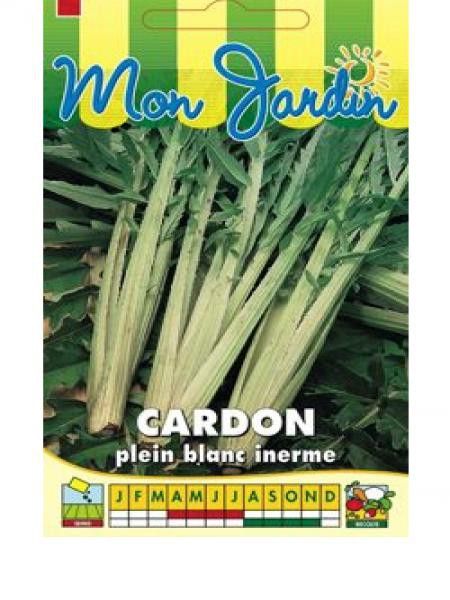 Cardon 'Plein Blanc inerme'