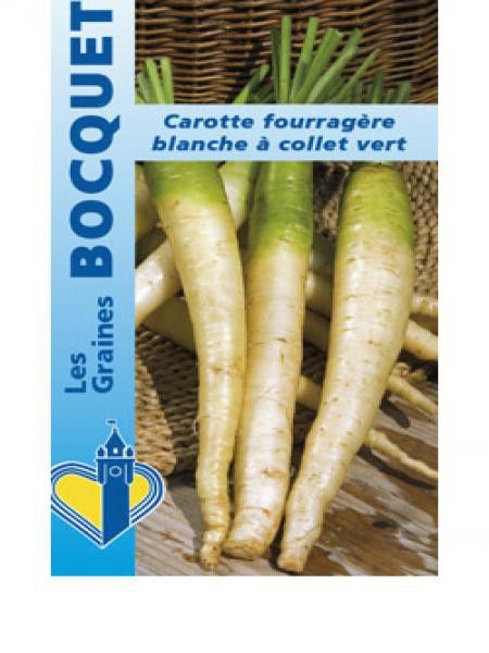 Carotte 'Blanche à Collet Vert' hors terre