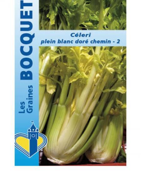 Céleri 'Plein Blanc Doré Chemin 2'