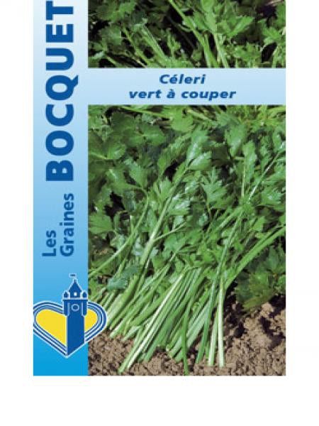 Céleri sauvage, Ache des marais 'Vert à couper'