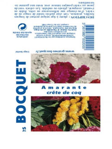 Célosie 'Crête de Coq'