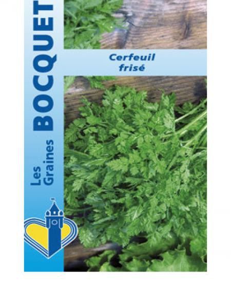 Cerfeuil frisé