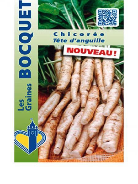 Chicorée à larges feuilles 'Tête d'Anguille'