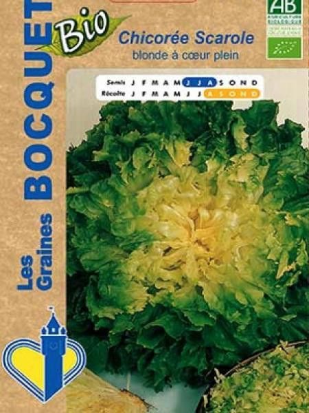 Chicorée sauvage 'Blonde à Coeur Plein'  BIO