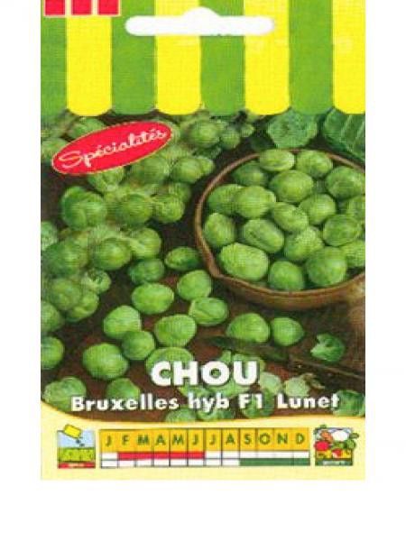 Chou de Bruxelles 'Lunet HYB F1'