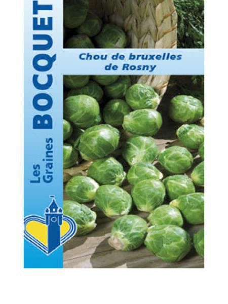 Chou de Bruxelles 'Rosny'