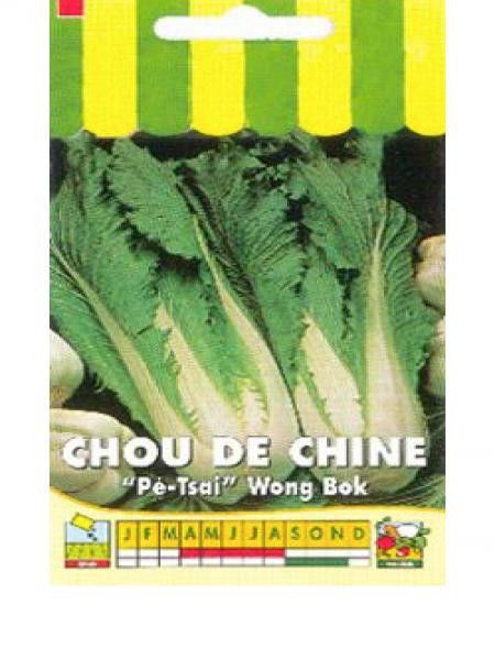 Chou de Chine 'Wong Bok'