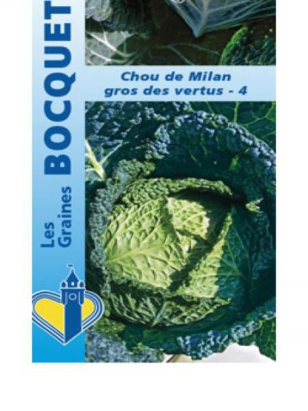 Chou de Milan 'Gros des Vertus'