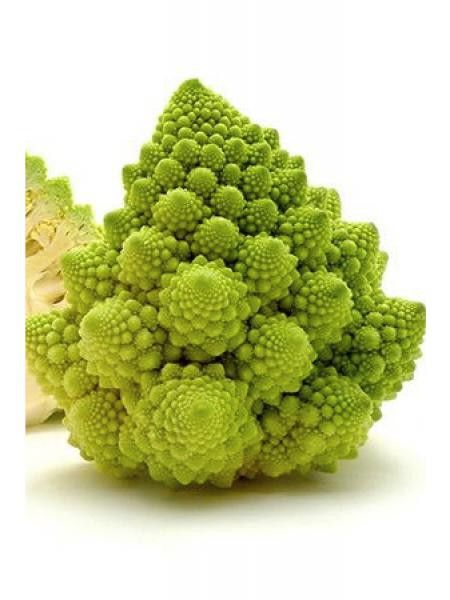 Chou 'Romanesco'