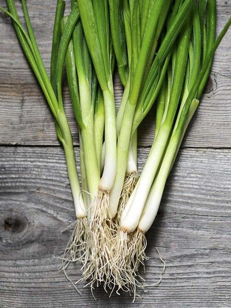 Ciboule, Oignon tige 'Ishikura'