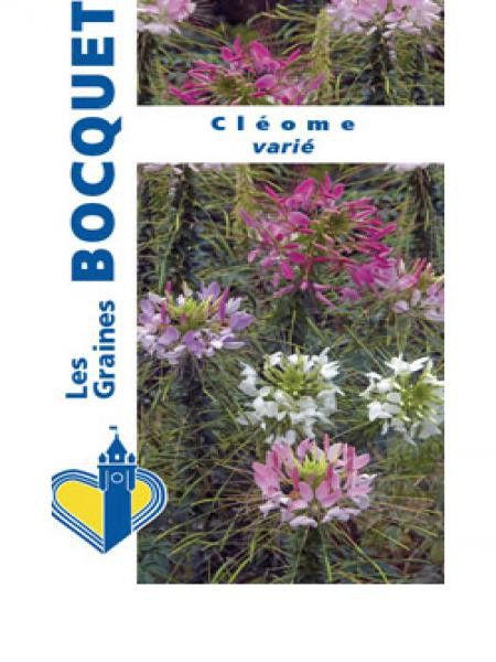 Cleome  en mélange