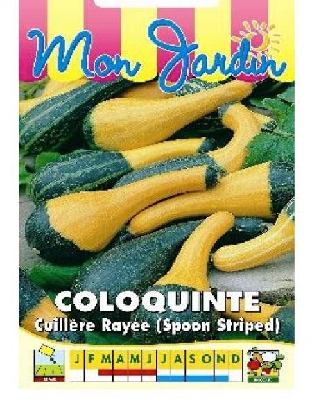 Coloquinte 'Cuillère rayée'