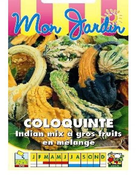 Coloquinte 'Indian Mix Gros fruits'