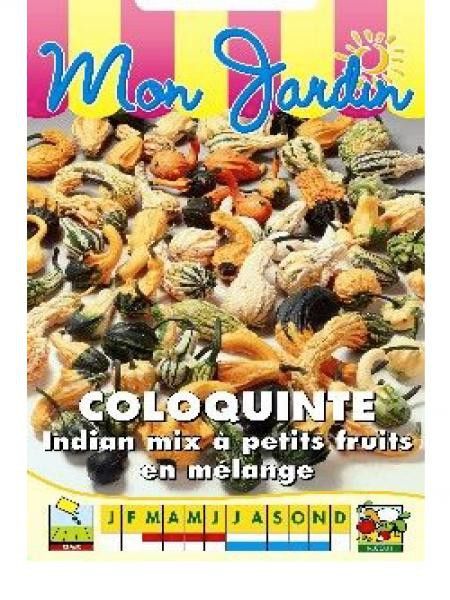 Coloquinte 'Indian Mix Petits fruits'