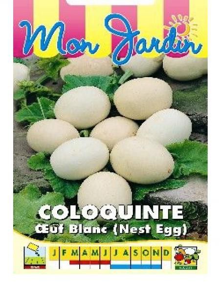 Coloquinte 'Oeuf Blanc'