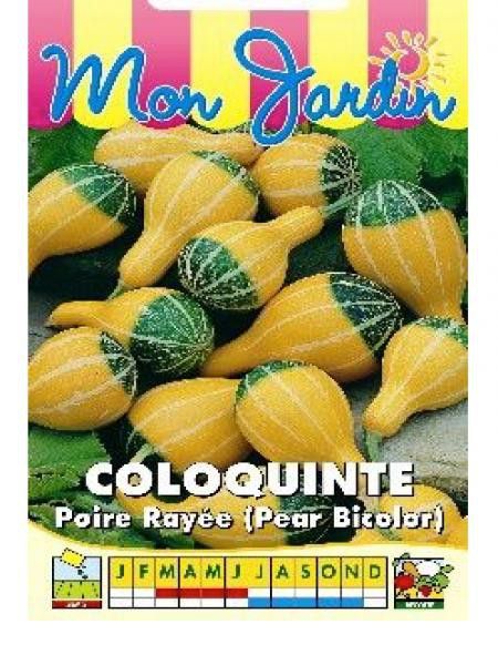 Coloquinte 'Poire rayée'
