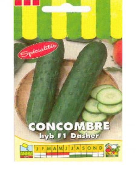 Concombre HYB F1 'Dasher'