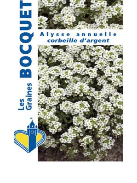 Corbeille d'or, Alysse des rochers 'Corbeille d'Argent'