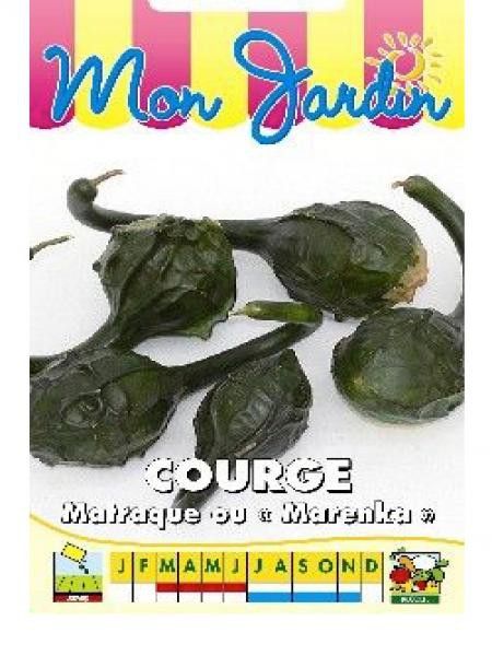 Courge 'Matraque'