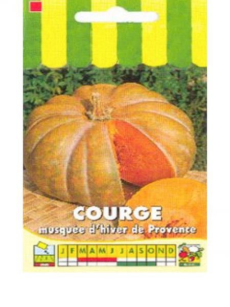 Courge musquée de Provence