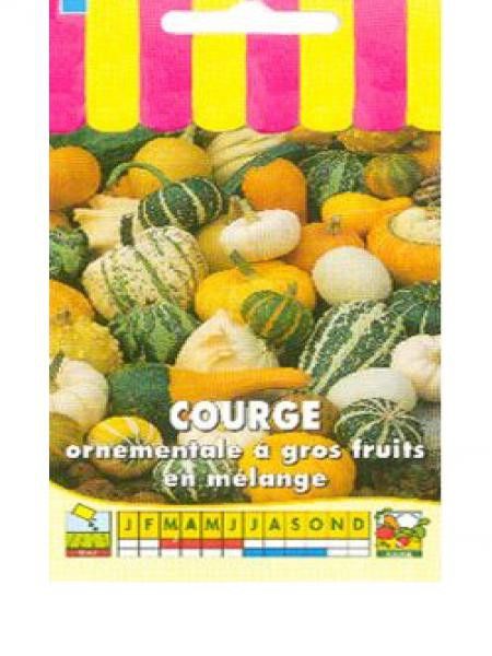 Courge 'Ornementale à gros fruits en mélange