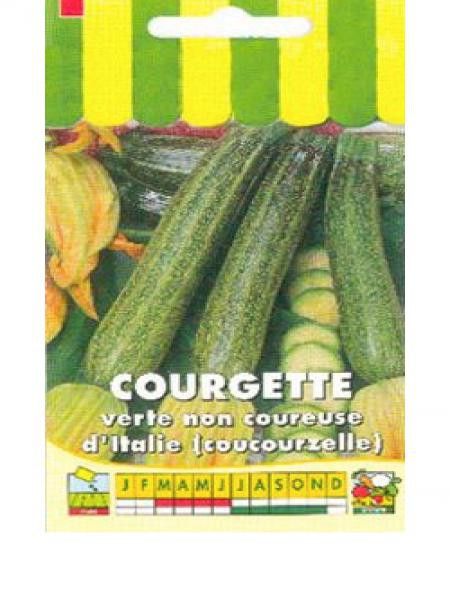 Courgette 'verte non coureuse d'Italie'