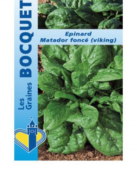 Epinard 'Matador'