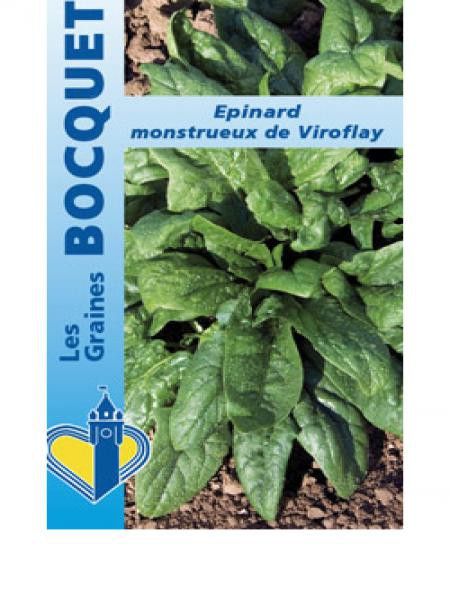 Epinard 'Monstrueux de Viroflay'
