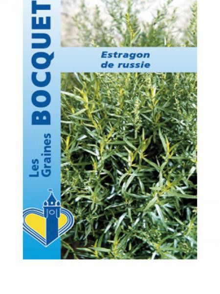 Estragon de Russie