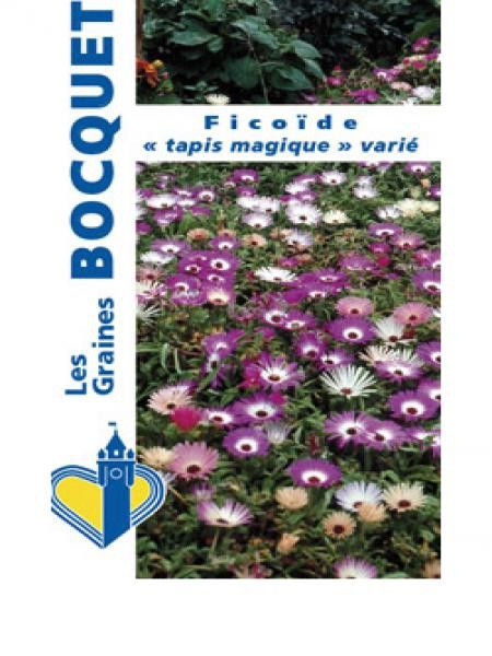 Ficoide 'Tapis Magique'