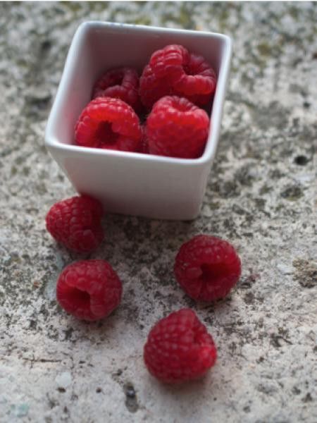 Framboisier 'Paris®'