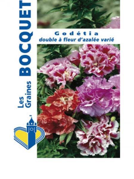 Godétia double à fleur d'Azalée en mélange