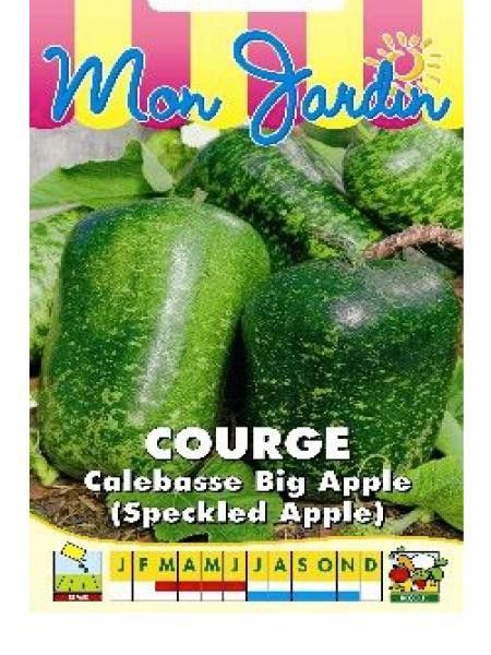 Gourde 'Big Apple'