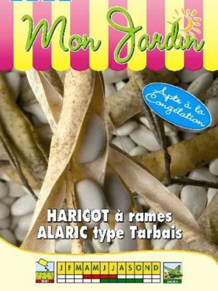 Haricot à rames 'Alaric'