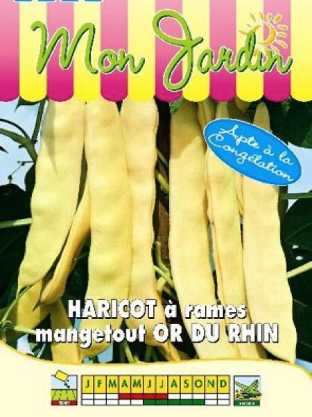 Haricot à rames beurre 'Or du Rhin'
