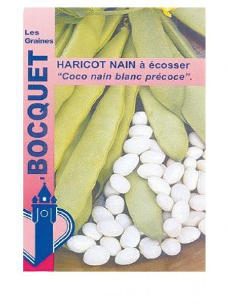 Haricot 'Coco blanc précoce'