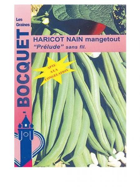 Haricot mangetout 'Prélude'