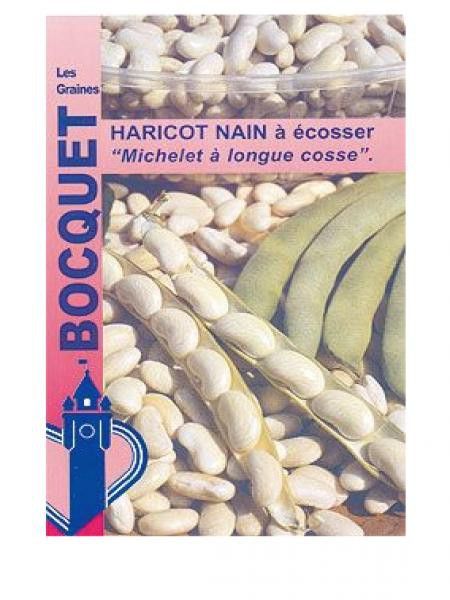 Haricot nain à écosser 'Michelet à longue cosse'
