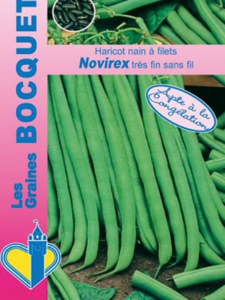 Haricot 'Novirex'