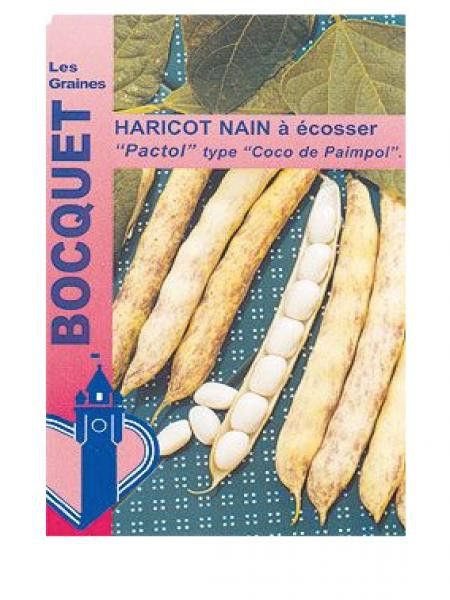Haricot 'Pactol'