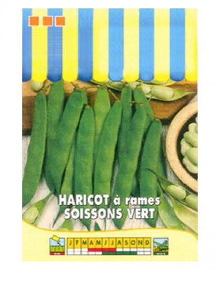 Haricot 'Soissons vert'