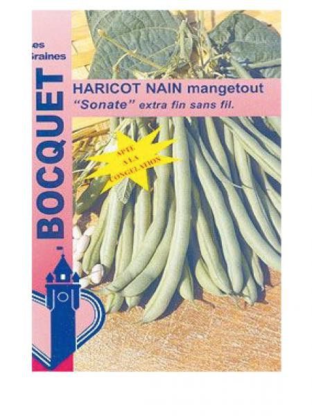 Haricot 'Sonate'