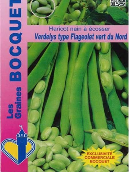 Haricot 'Verdelys'
