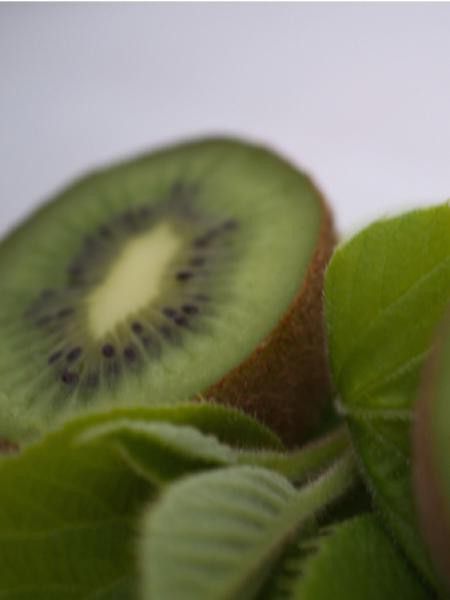 Kiwi 'Bruno'