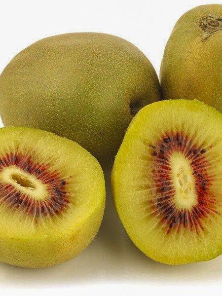 Kiwi 'Kiwi Wonder'