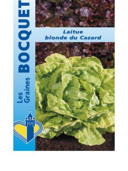 Laitue 'Blonde du Cazard'