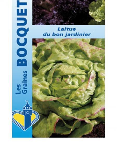 Laitue d'été 'Du Bon Jardinier'