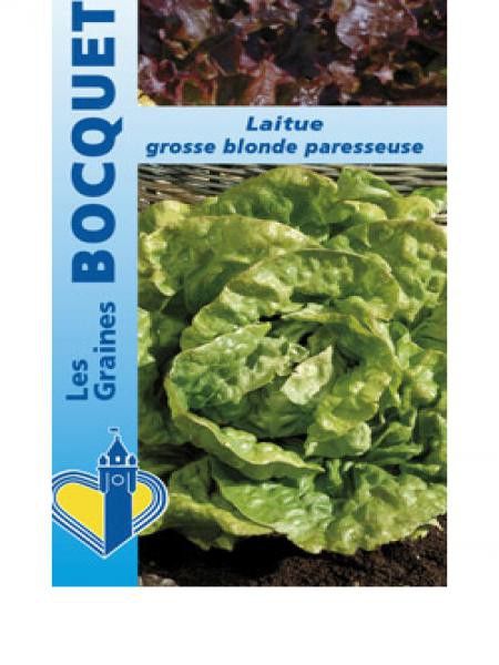 Laitue d'été 'Grosse Blonde Paresseuse'